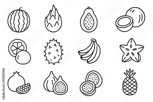Exotic fruit outline icon set. Tropical fruits linear collection. Vector line art illustration. Watermelon, dragon fruit, papaya, coconut, mangosteen, kiwano, banana, star fruit.