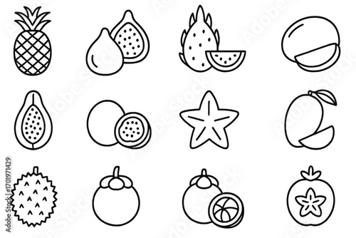 Exotic fruit outline icon set. Tropical fruits linear collection. Vector illustration of pineapple, fig, dragon fruit, papaya, passion fruit, star fruit, mango, durian, mangosteen.