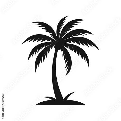 palm tree silhouette vector