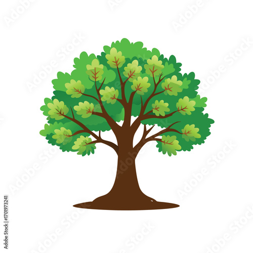 tree isolated on white background