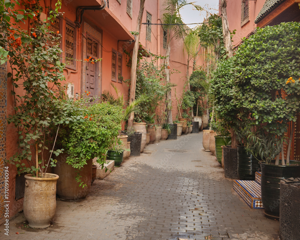 Fototapeta premium Narrow paved street with pot plants in The medina of Marrakesh, Morrocco.