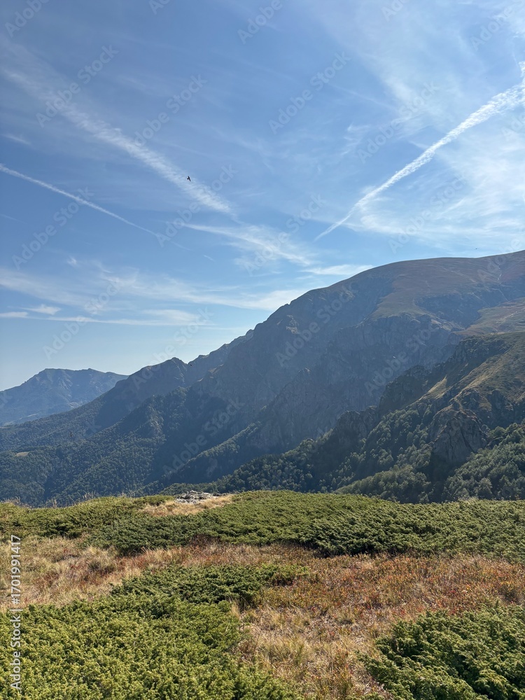 Fototapeta premium High mountain view in Bulgaria with blue sky, clouds and flying bird over rocky hills 