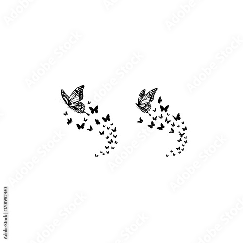 Silhouette butter fly set