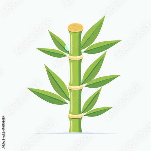 Green Bamboo Stalk With Leaves and Rings on White Background