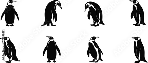Penguin silhouette vector set, black and white illustration, emperor penguins walking, standing penguins, animal graphic, wildlife art design