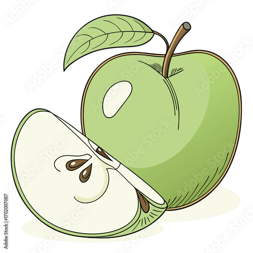 Hand-Drawn Green Apple and Slice Illustration