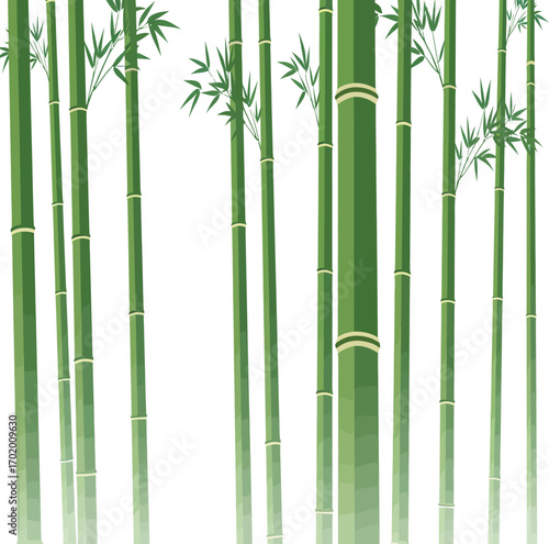 vector, illustration, bamboo tree for poster, background