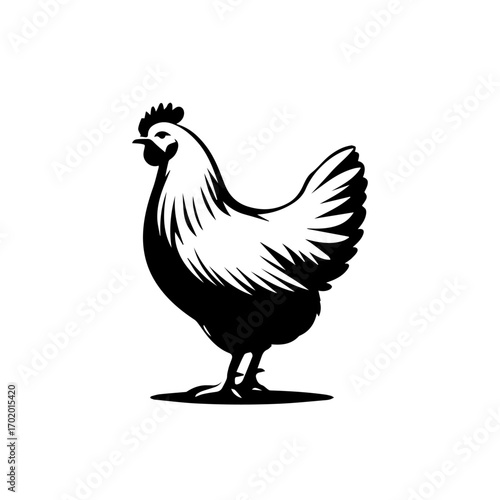 Beautiful Hen Vector Illustration – Farmyard Domestic Poultry