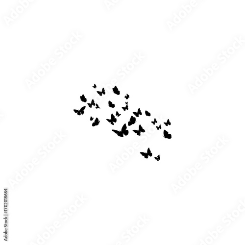 Butterfly icons set, Vector illustration, decorative silhouettes of butterflies 