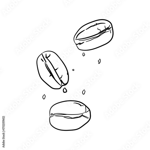 Coffee Beans Hand-Drawn Sketch