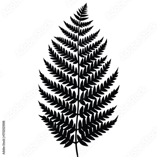 Silhouette of a Fern Frond with Intricate Leaf Structure and Patterning Detail