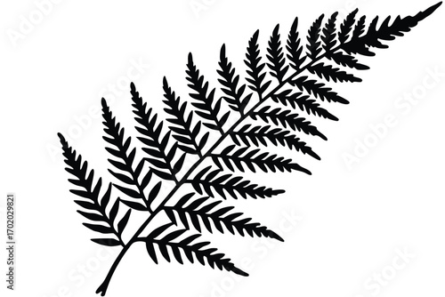 Silhouette Illustration of a Detailed Fern Frond, Botanical Graphic Style Image