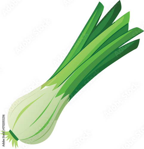 Leek