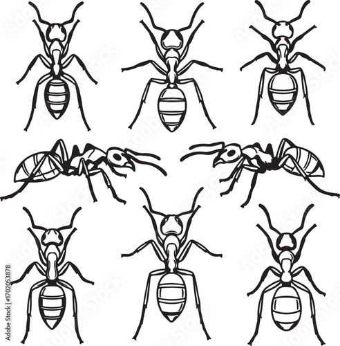 "Ant Line Art Silhouette Set – Insect, Colony, and Nature Illustration"