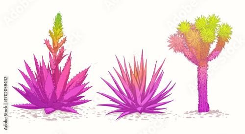 Colorful Desert Plants Agave and Joshua Tree Illustration.