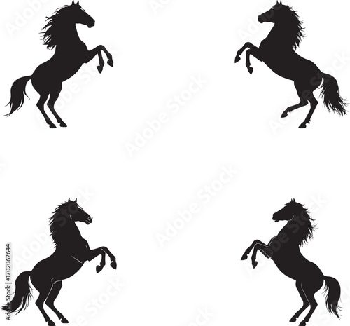 hores silhouette vector on white background
