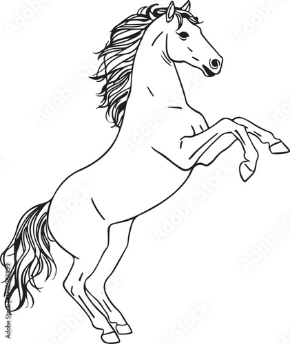 hores silhouette vector on white background