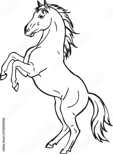 hores silhouette vector on white background