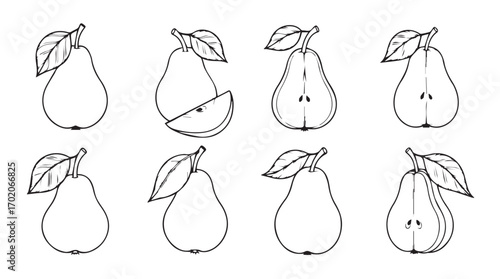 Collection of hand drawn pear illustrations in silhouette style