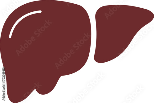 Simple Flat Design Liver Anatomy Human Internal Organ Illustration