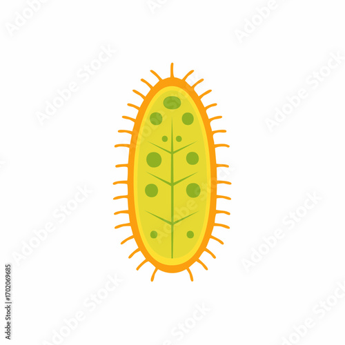 Stylized Microbe with Flagella Structures for Health and Science Illustrations