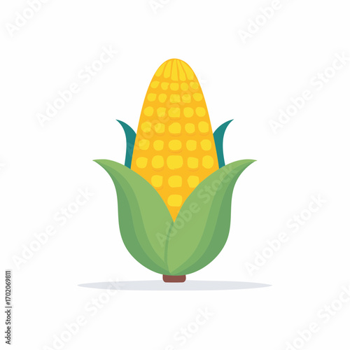 Colorful vector illustration of a fresh corn on the cob with green husks