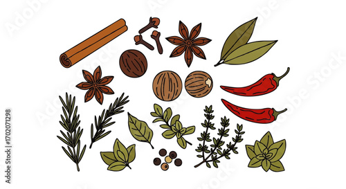 A colorful, hand-drawn illustration set of various culinary spices and aromatic herbs.