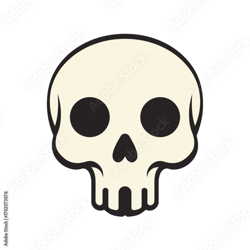 human skull isolated