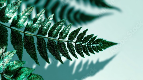 Wallpaper Mural Green fern leaf close-up on light turquoise background Torontodigital.ca