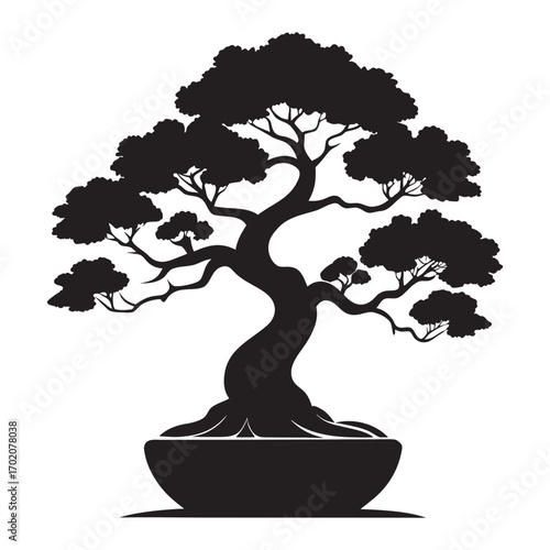 Elegant black silhouette of a mature bonsai tree in a pot