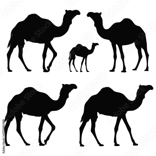 A set of five black silhouettes of dromedary camels in various walking and standing poses.