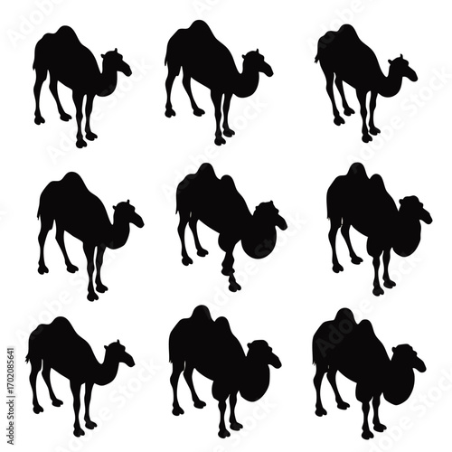 A set of nine black dromedary camel silhouettes in various standing poses from an isometric view.