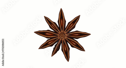 A single, illustrated star anise pod with eight points and visible seeds.