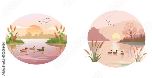 Scene of ducks gliding across a calm lake vector art design illustration