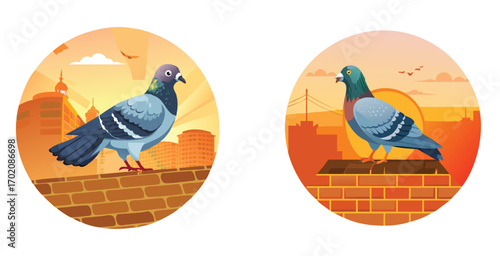 Urban pigeon perched confidently on a weathered city  vector art design illustration