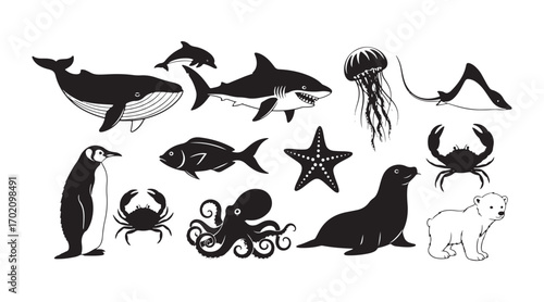 A large collection of vector silhouette cartoons featuring isolated sea and ocean animals from the north. You’ve got a whale, dolphin, shark, stingray, jellyfish, fish and a polar bear cub on a white.