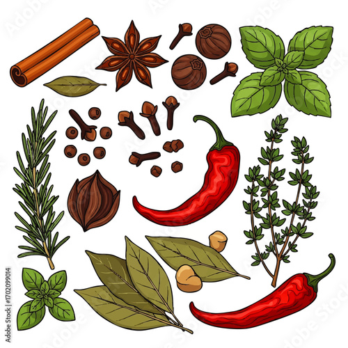 A vibrant, hand-drawn collection of culinary spices and fresh herbs, including chili, cinnamon, and basil.