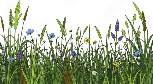 Create a kinds of deferent Meadow background, grass color vector meadow border vector art with white background.