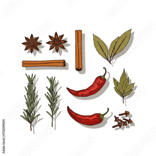 Aromatic collection of hand-drawn spices and herbs including cinnamon, chili, and star anise.