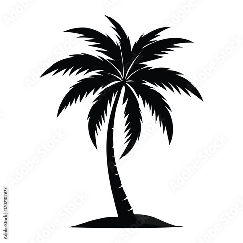 Black silhouette of a tropical palm tree on a white background