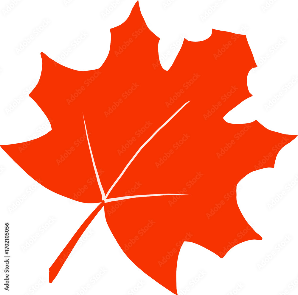 Obraz premium Maple 낙옆