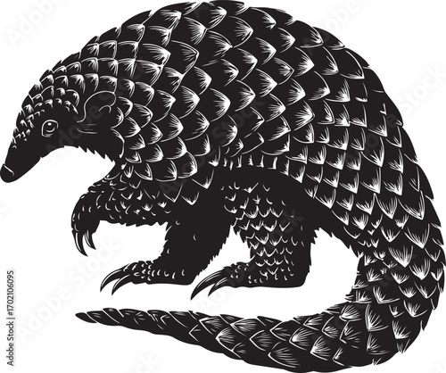 Elegant pangolin illustration in black and white