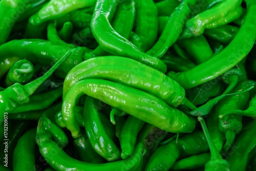 Fresh vibrant green chili peppers background, raw organic hot peppers at market