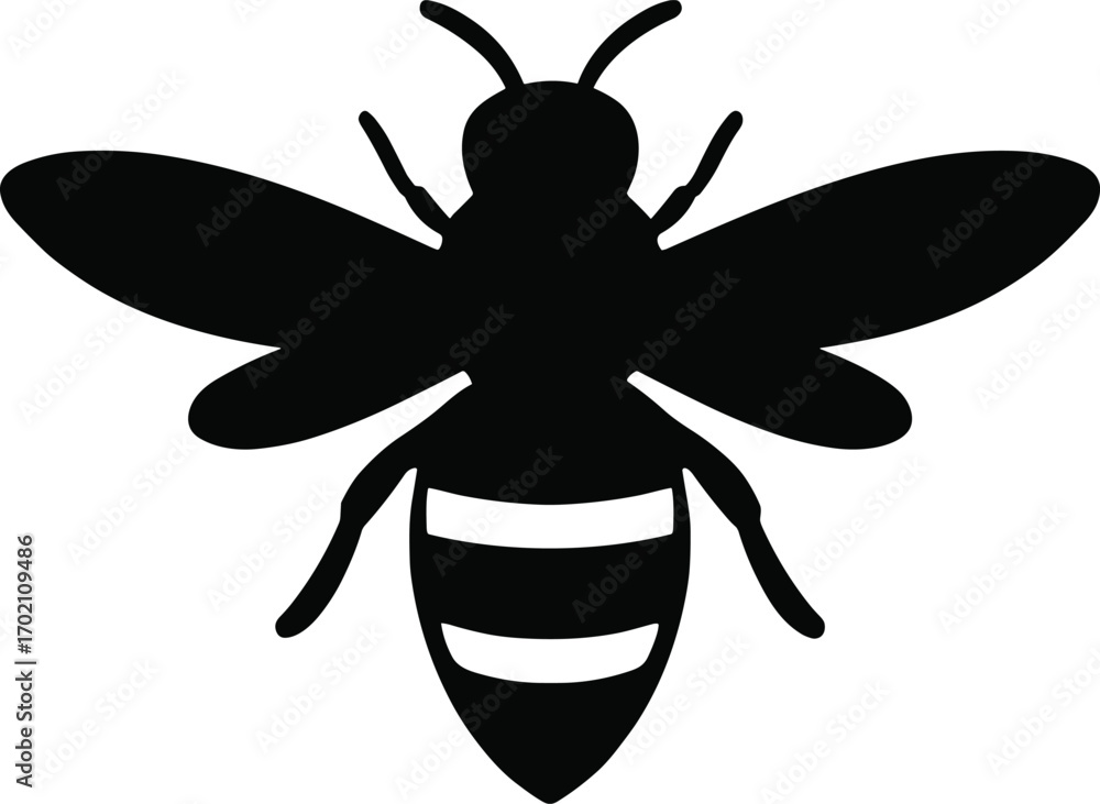 Fototapeta premium Minimal vector silhouette, bee top view symmetrical wings open, solid black