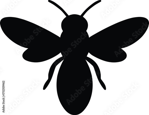 Minimal vector silhouette, bee top view symmetrical wings open, solid black