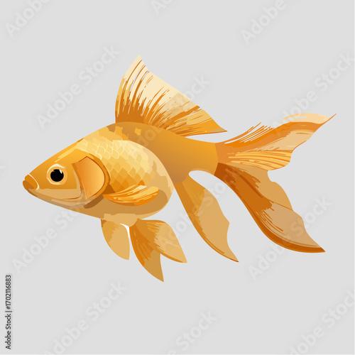 Poisson rouge, orangé, fond blanc