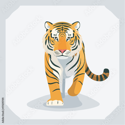 Magnifique tigre en mouvement, vue de face, fond clair