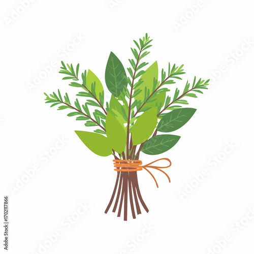 Bouquet garni, thym, laurier, fond blanc