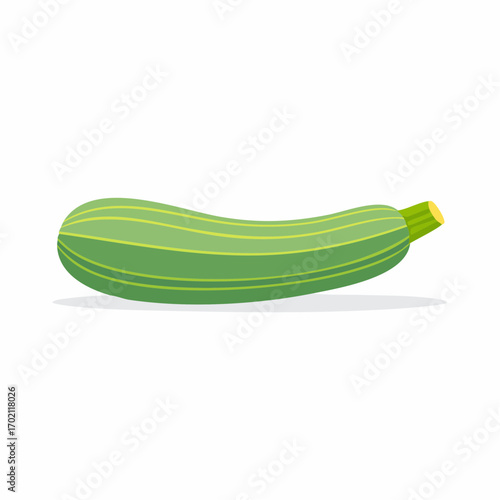 Jolie courgette bien verte à l'horizontal, arrière plan blanc uni