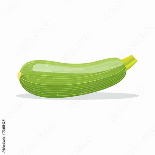 Jolie courgette bien verte à l'horizontal, arrière plan blanc uni